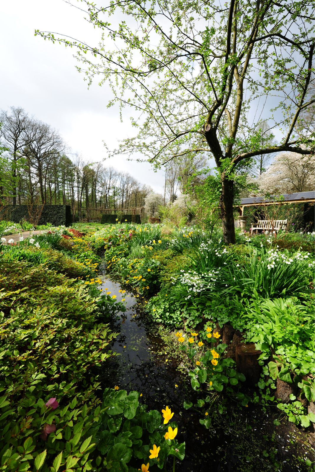 Inspiratie voor de tuin in de lente
