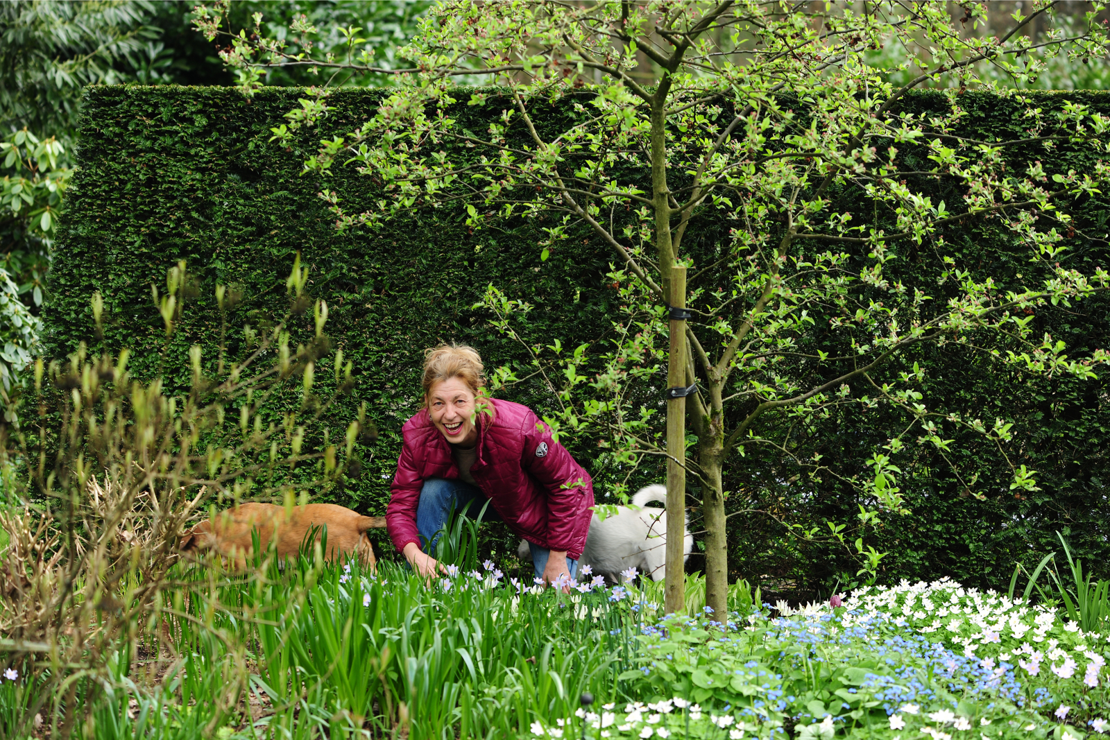 Inspiratie voor de tuin in de lente