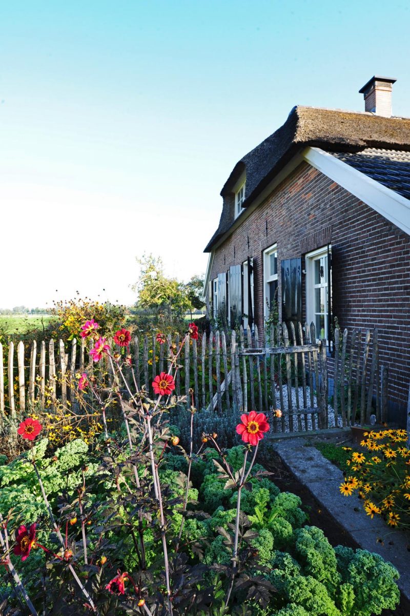 Buitenkijker