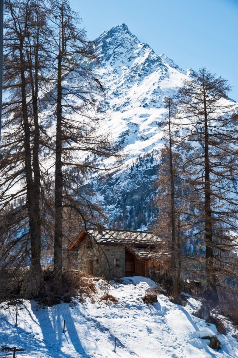 Anako-lodges