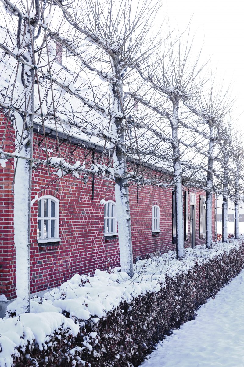 wintertuin