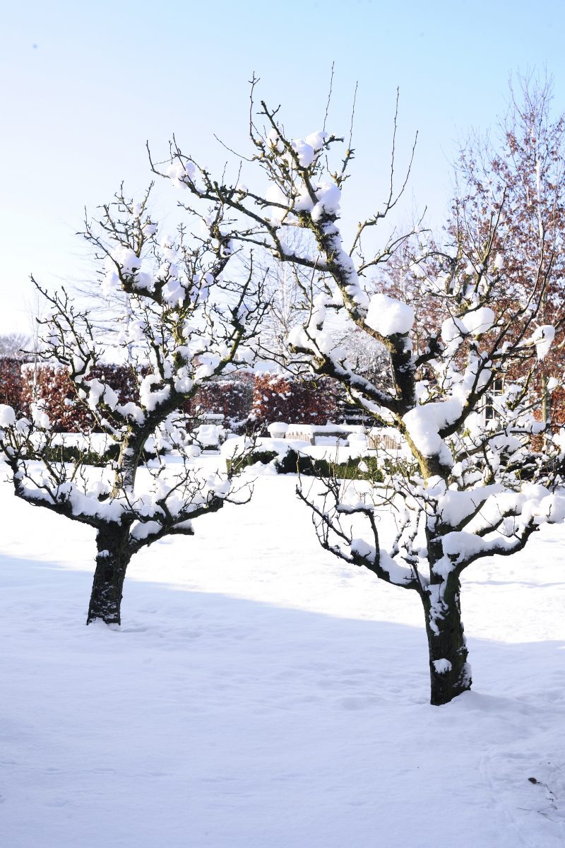 wintertuin