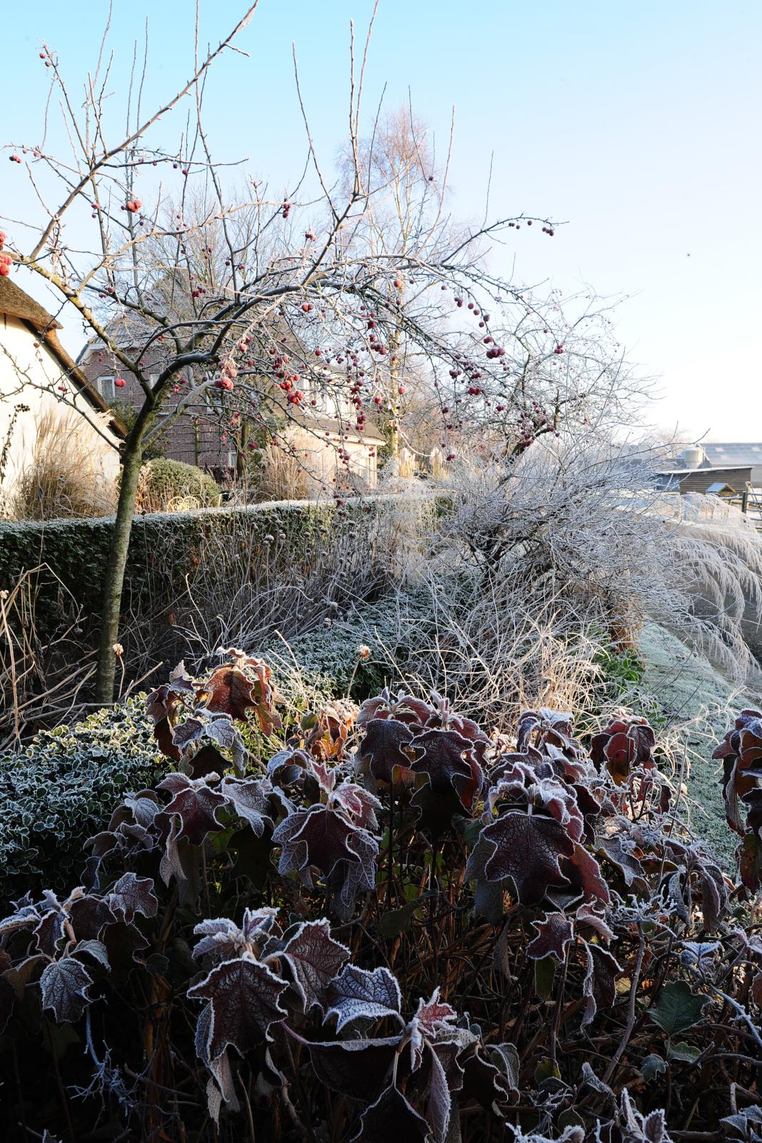 wintertuin