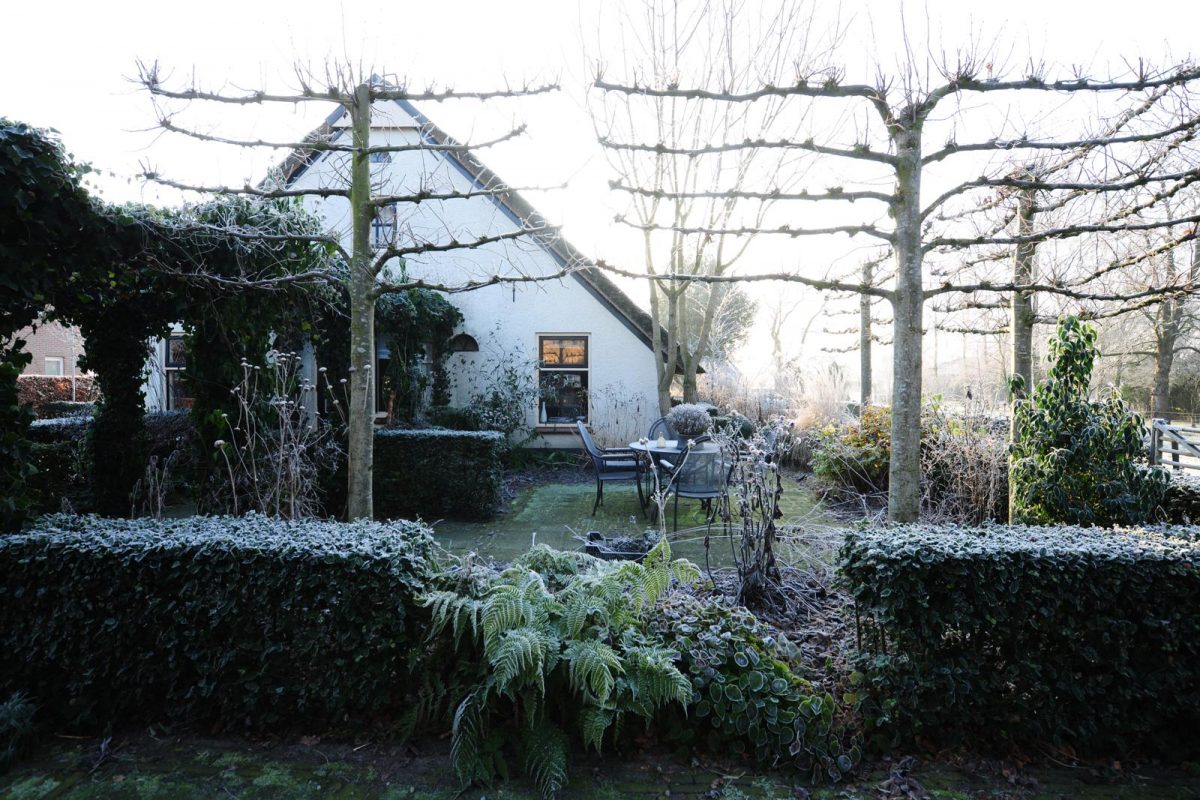wintertuin
