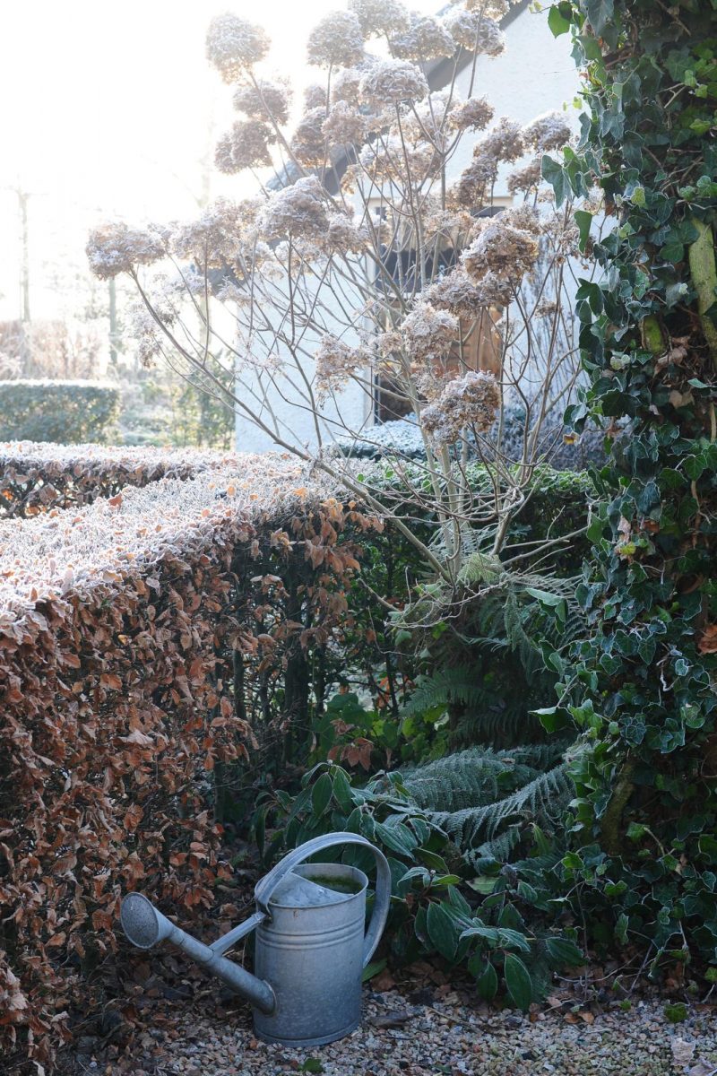 wintertuin