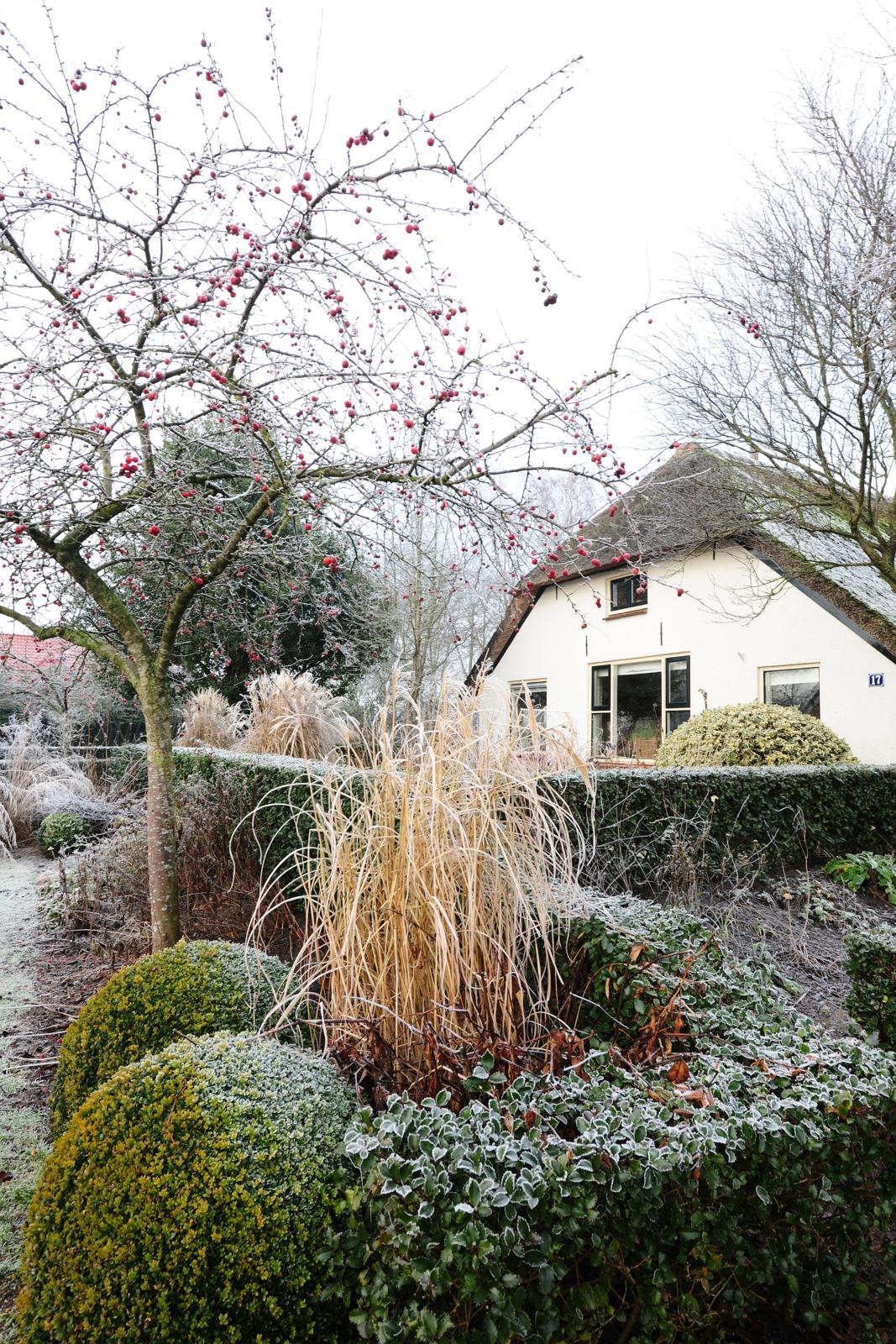 wintertuin