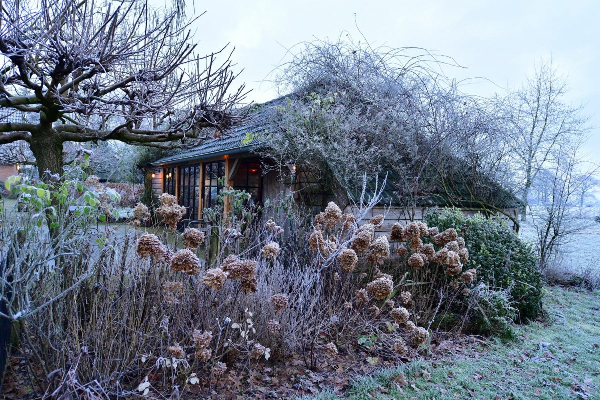 De Beukenhof