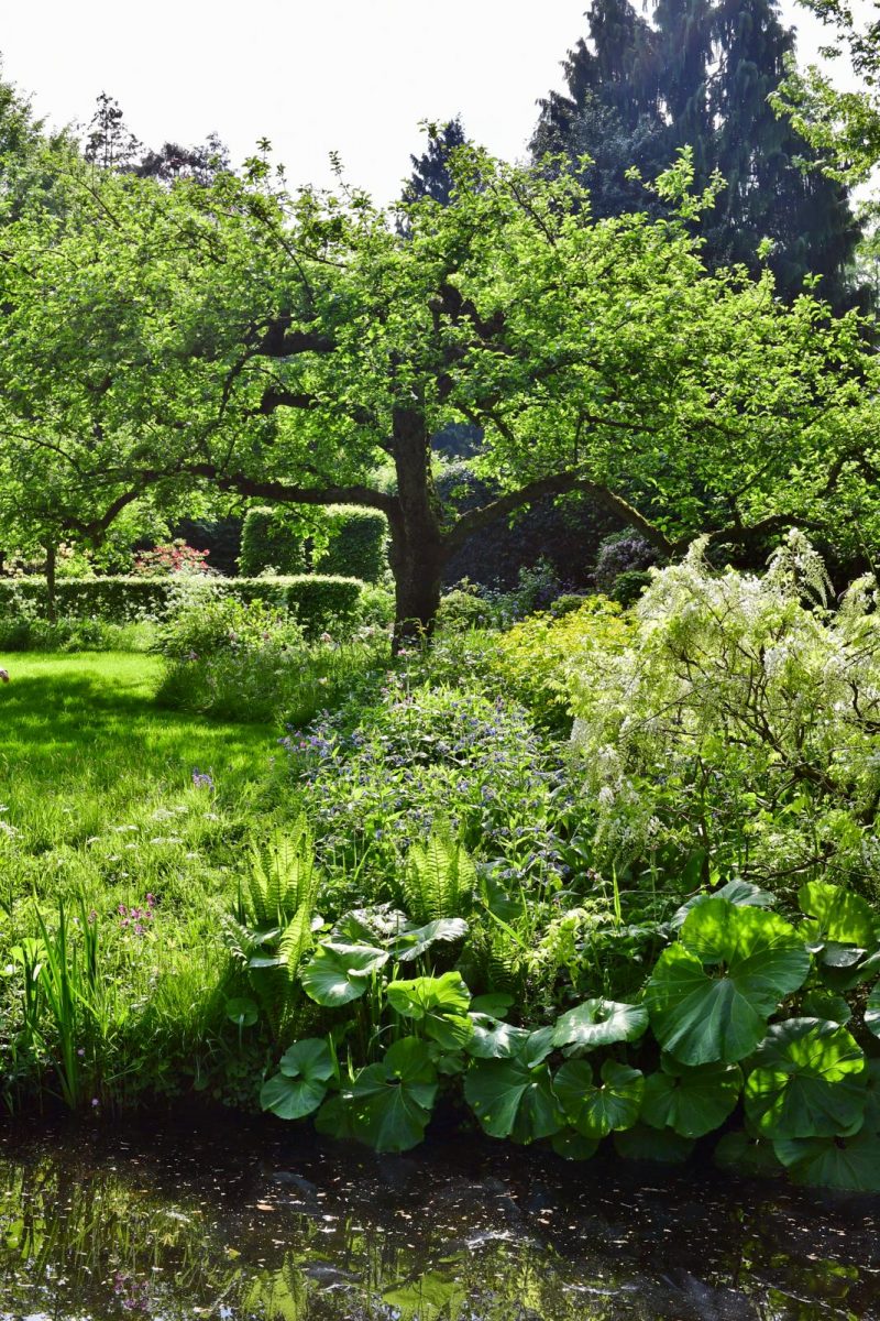 cottagetuin