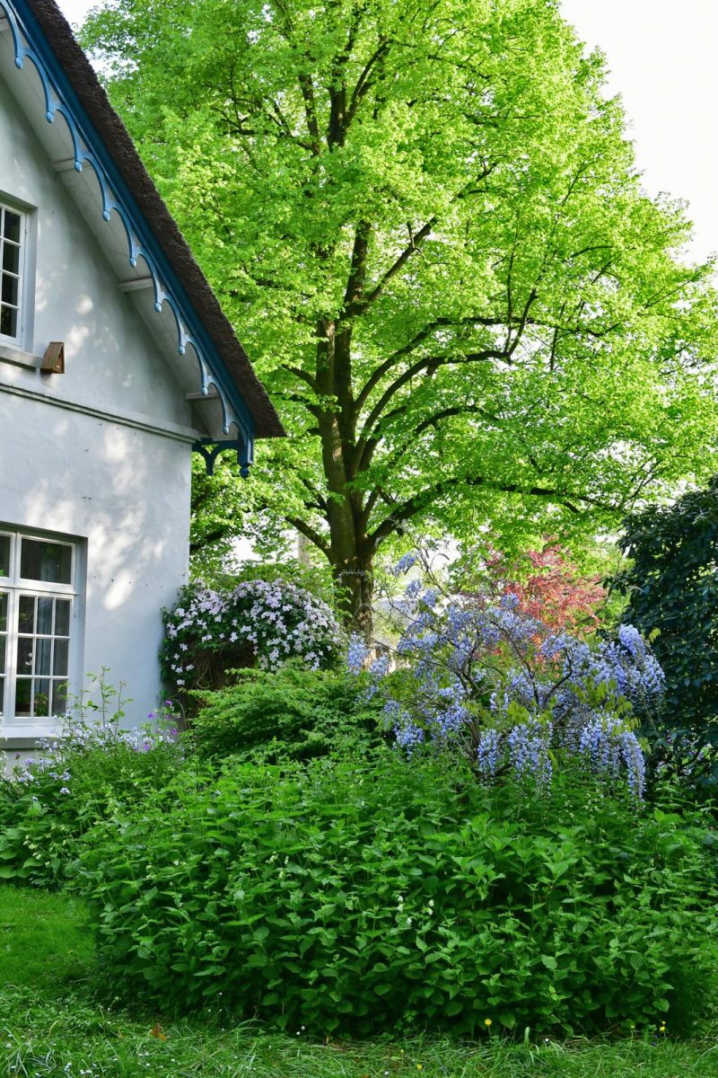 cottagetuin