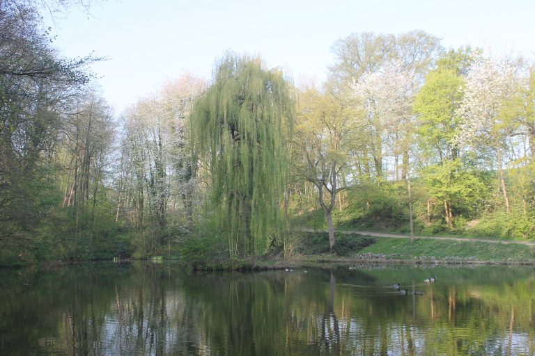Abdij Rolduc
