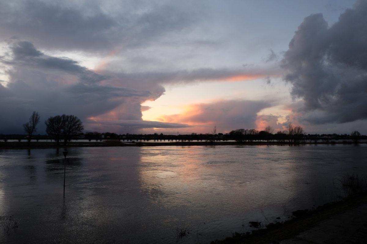 De uiterwaarden van de IJssel bij Zutphen