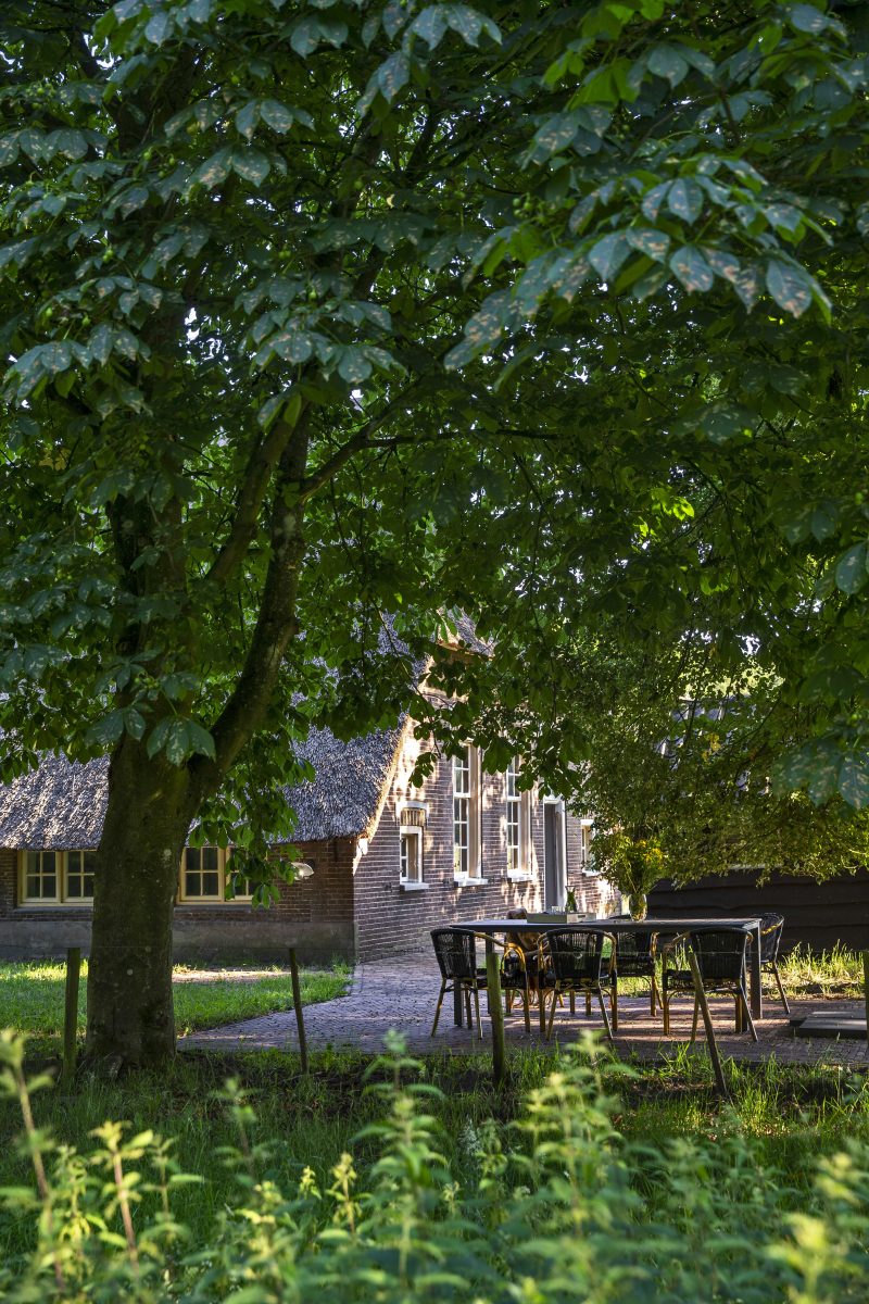 De Bocksen in Ommen