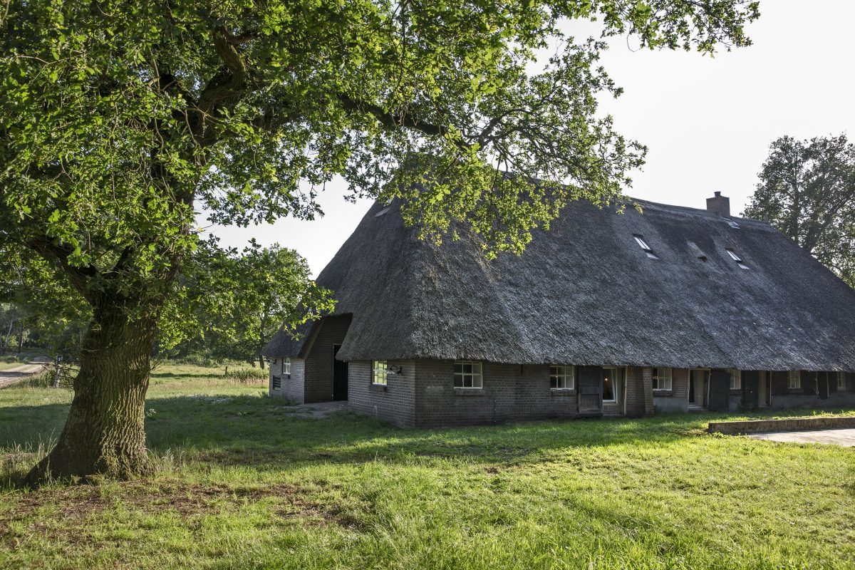 B&B De Bocksen in Ommen