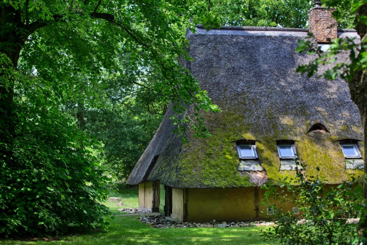 Oud Vels