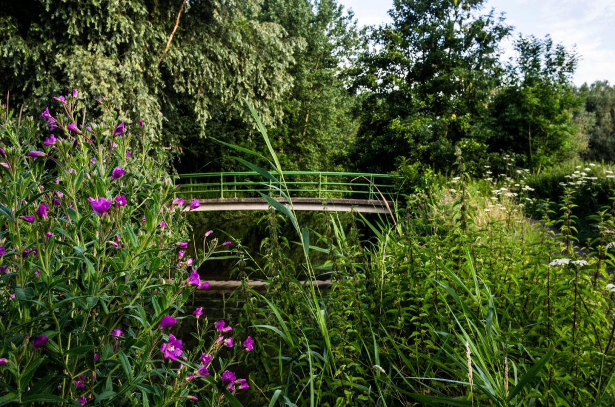 landgoed Niënhof