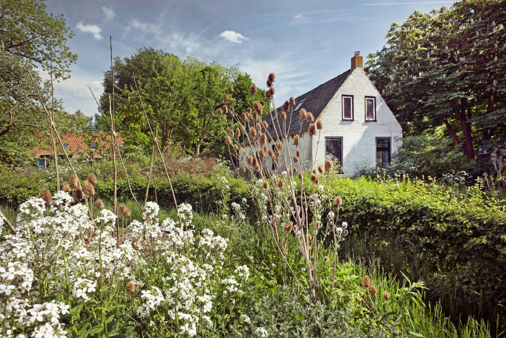 farm of the world