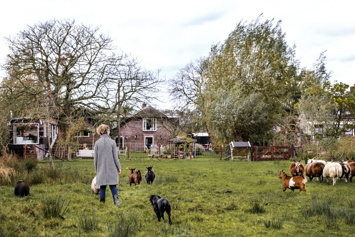 tiny house boerderij