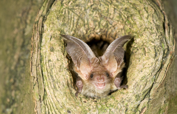 Foto: René Janssen