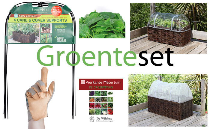 Groenteset