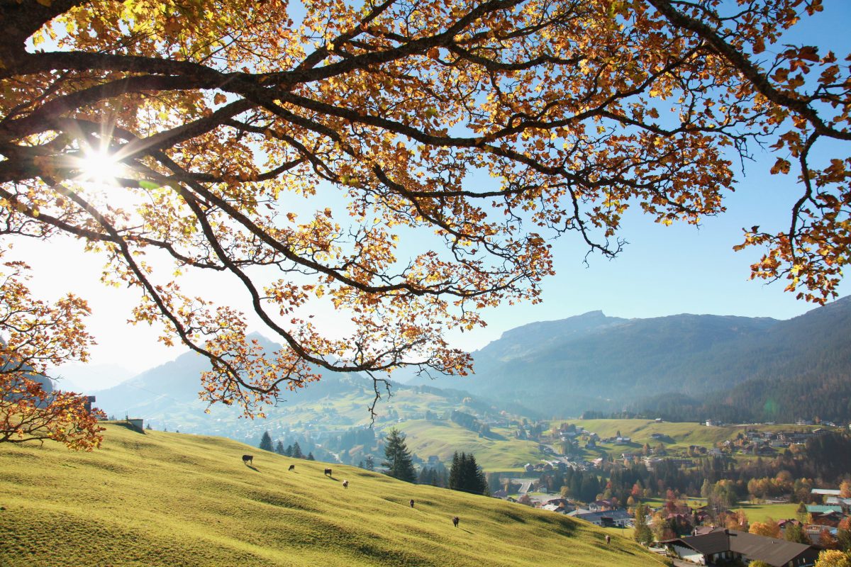 herfstwandelen