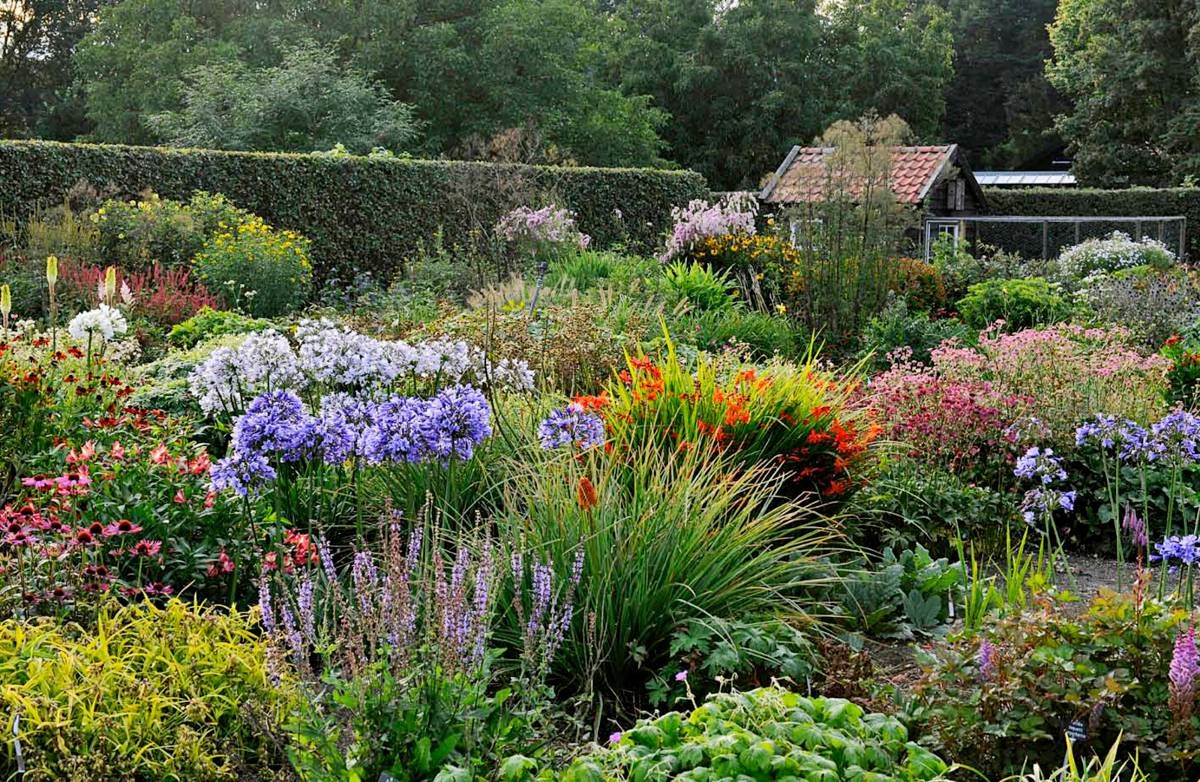 kwekerij de Hessenhof - biologische vaste planten - 100% duurzaam