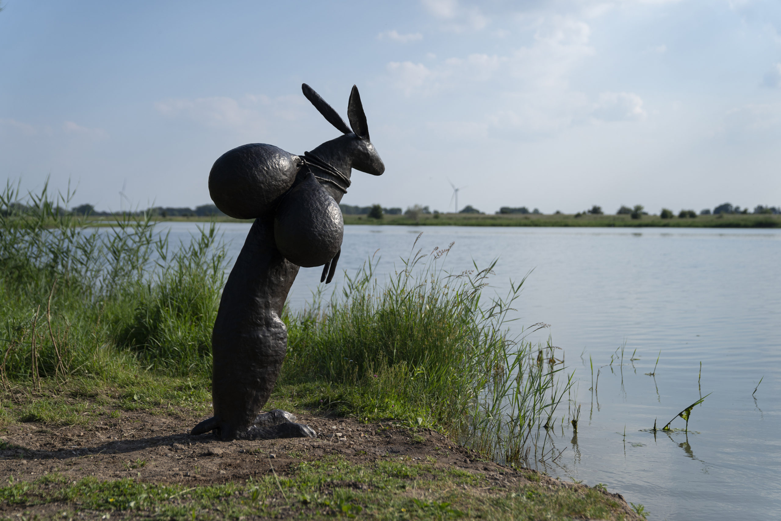 Kunst kijken en een frisse neus halen, dat kan nog tot en met dit weekend tijdens de IJsselbiënnale, de internationale kunstroute langs de IJssel.