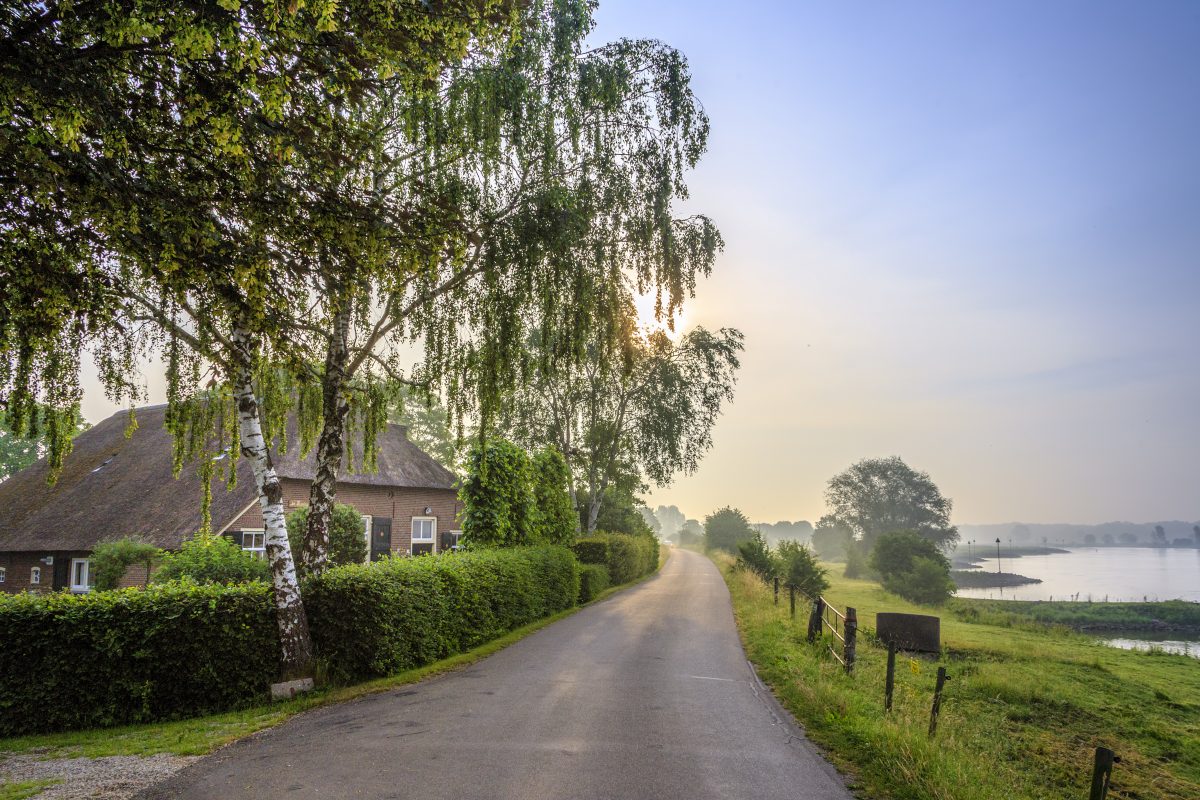 Veluwe