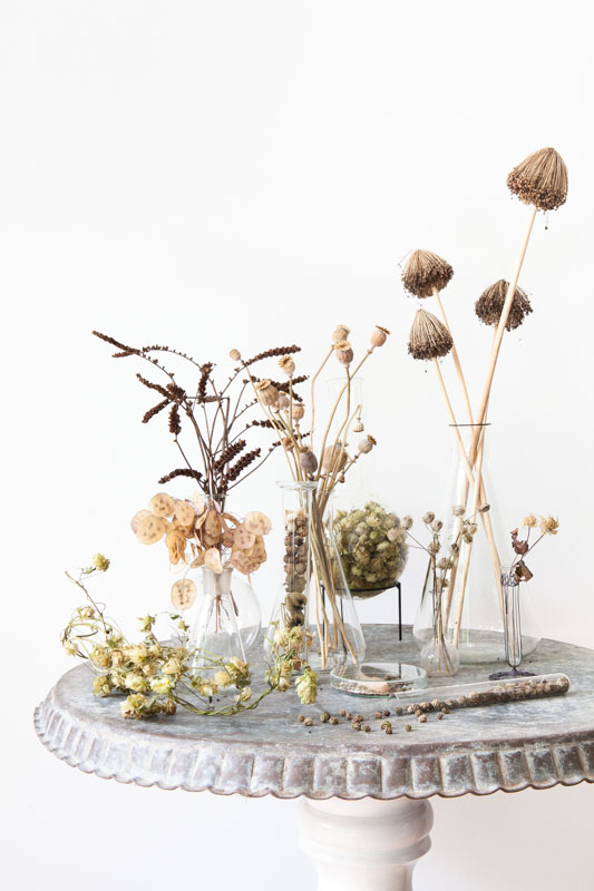 droogbloemen