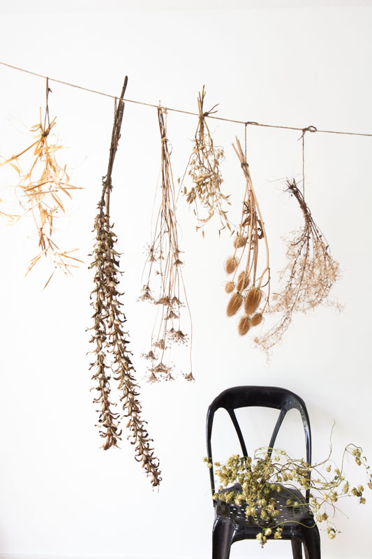 droogbloemen