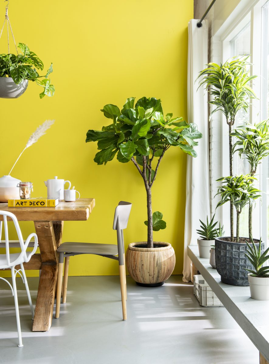 augmented reality plant app