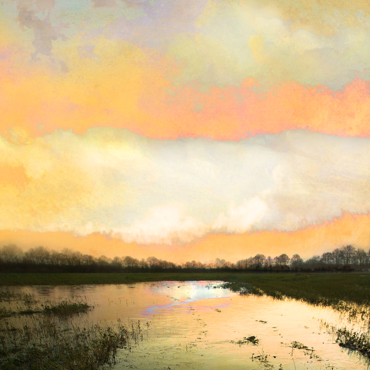 Saskia Boelsums