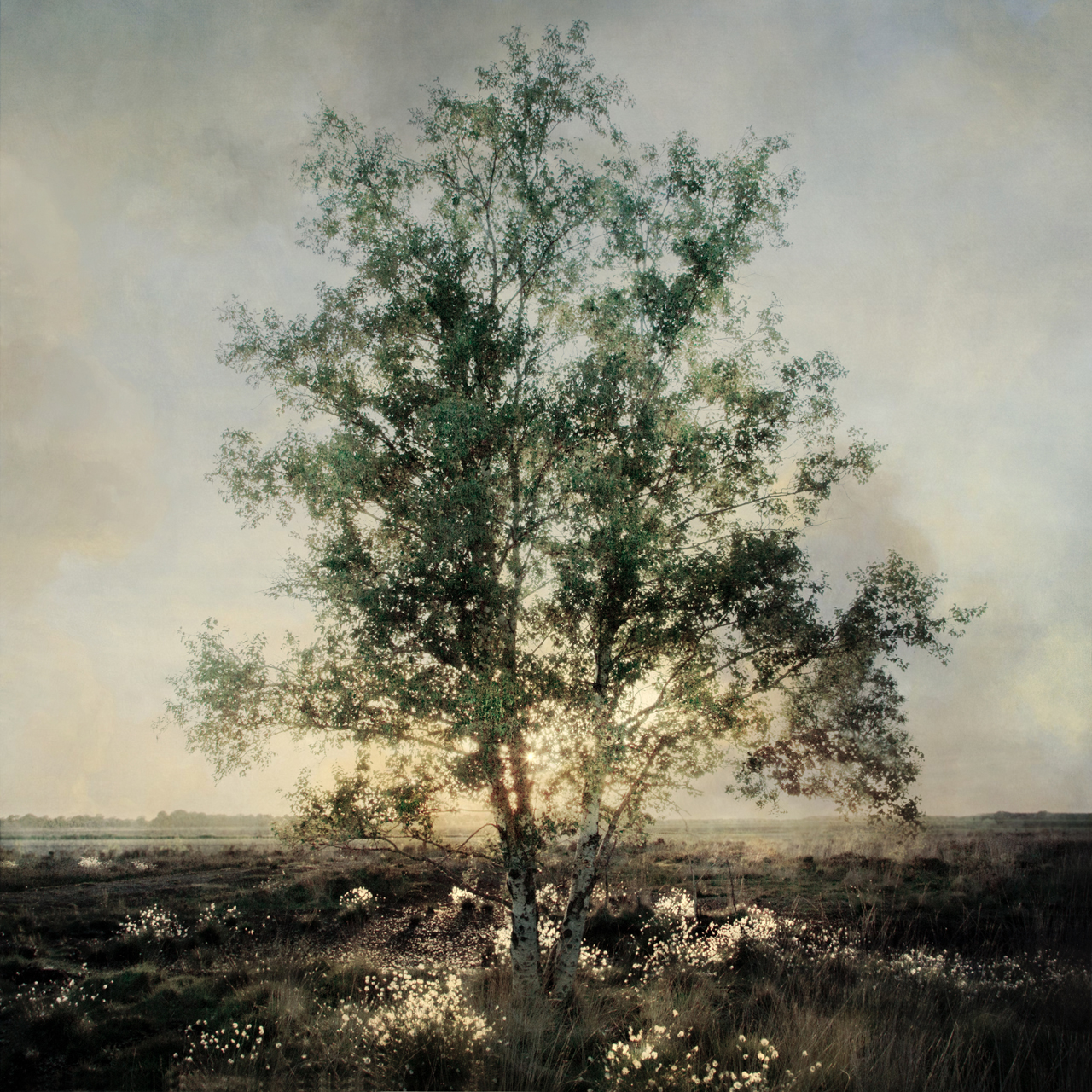 Saskia Boelsums