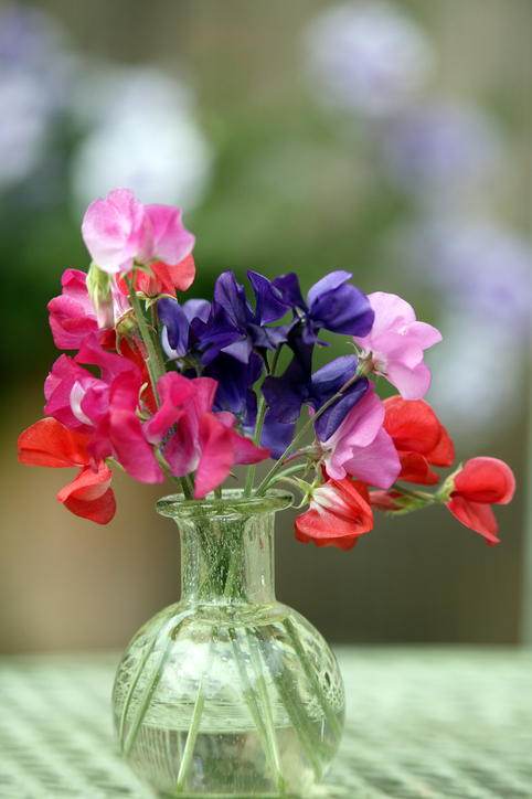 Boeketje Lathyrus - pronkerwt - glazen vaasje
