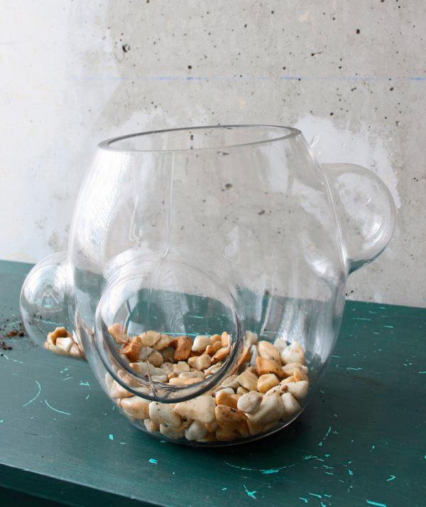 terrarium maken