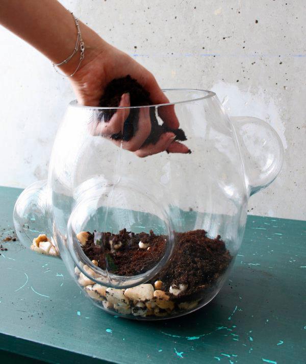 terrarium maken