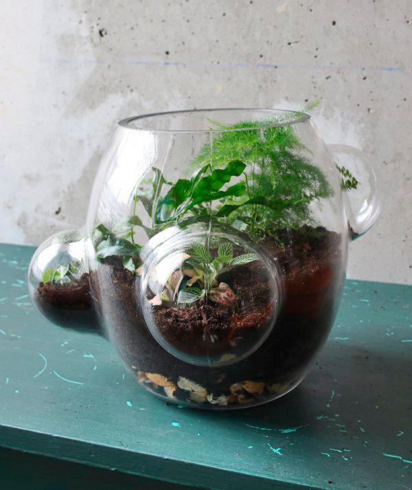 terrarium maken