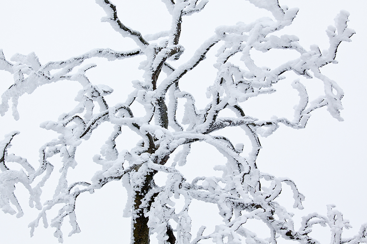 _mg_7350-edit