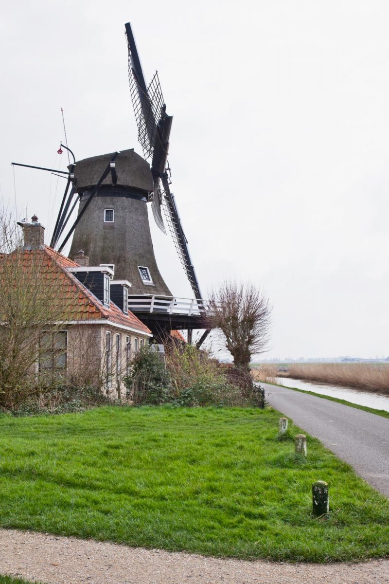 Mevrouw de Molenaar