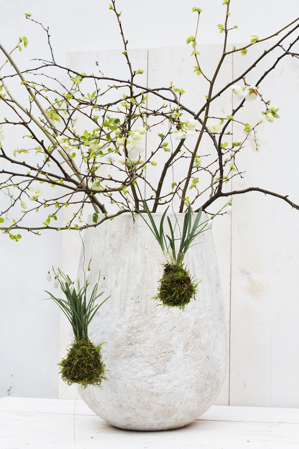 sneeuwklokjes kokedama