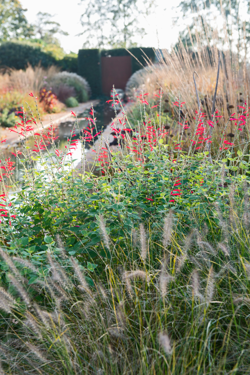 Herfsttuin in Noord-Brabant