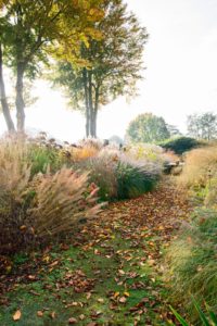 Grassentuin