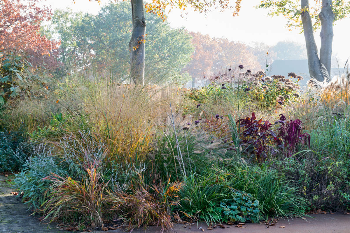 Herfsttuin in Noord-Brabant