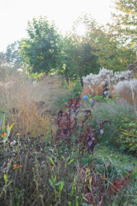 Grassentuin