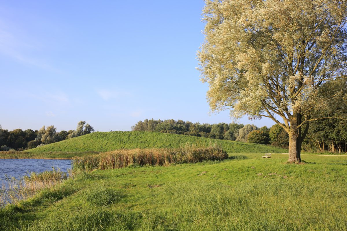 zomerdel