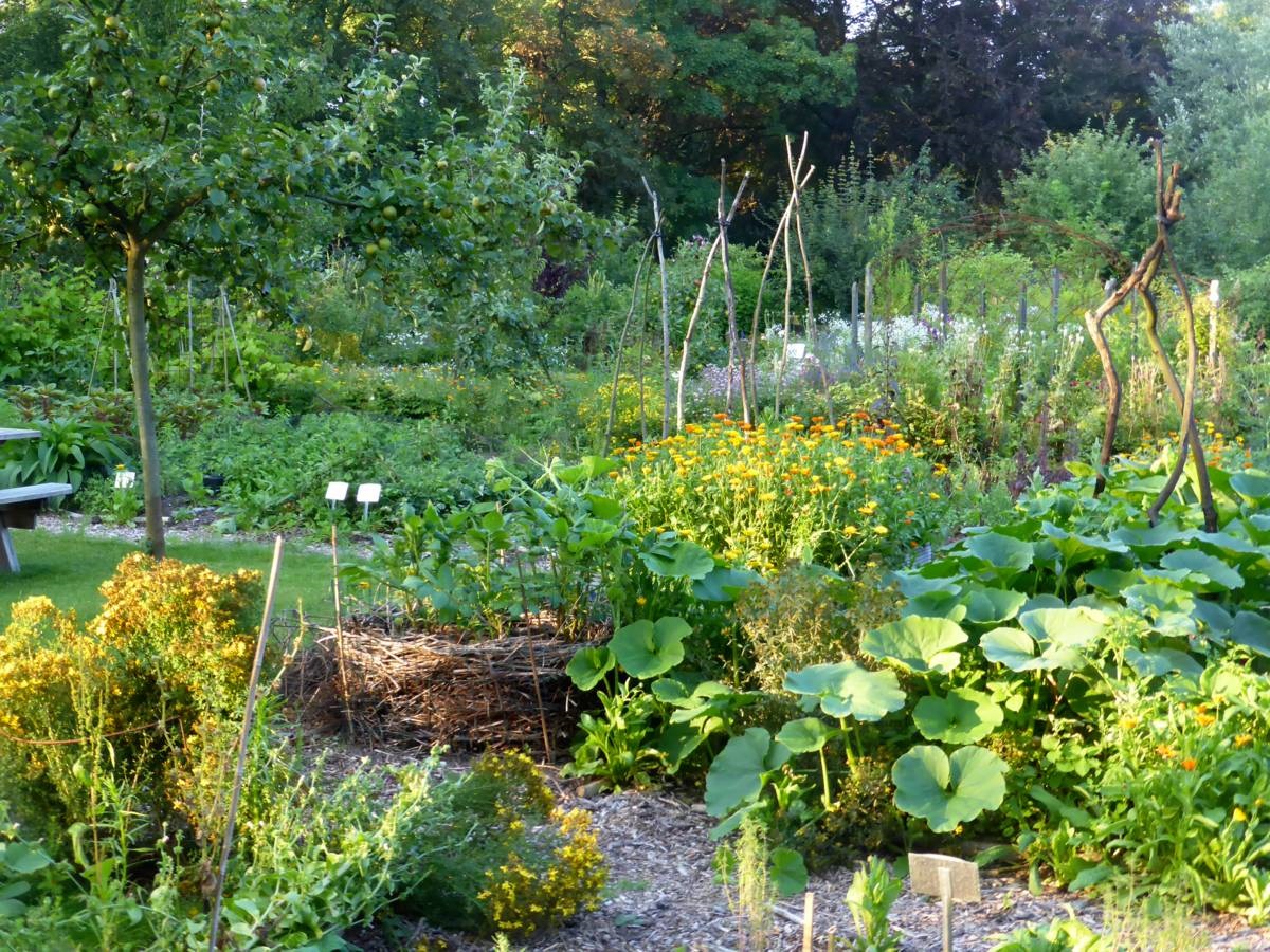 groen shoppen - ecologische belevingstuin - tuinadressen