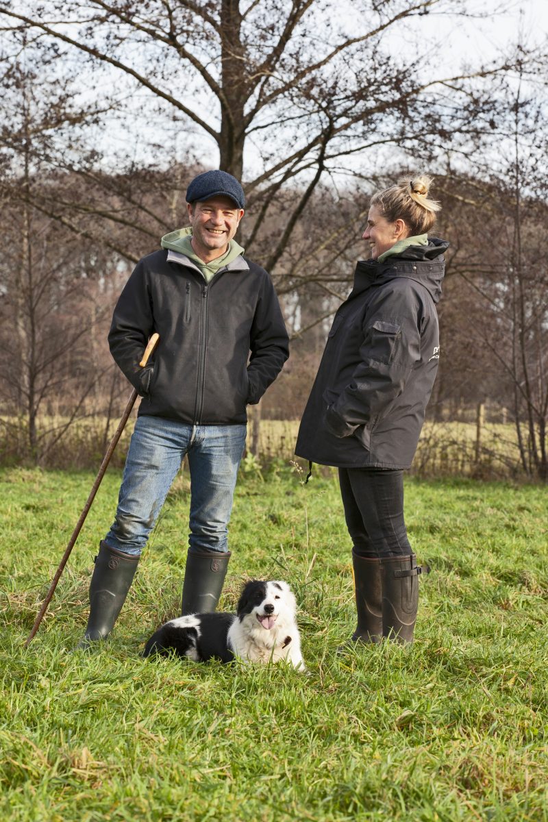 communicatietraining met schapen