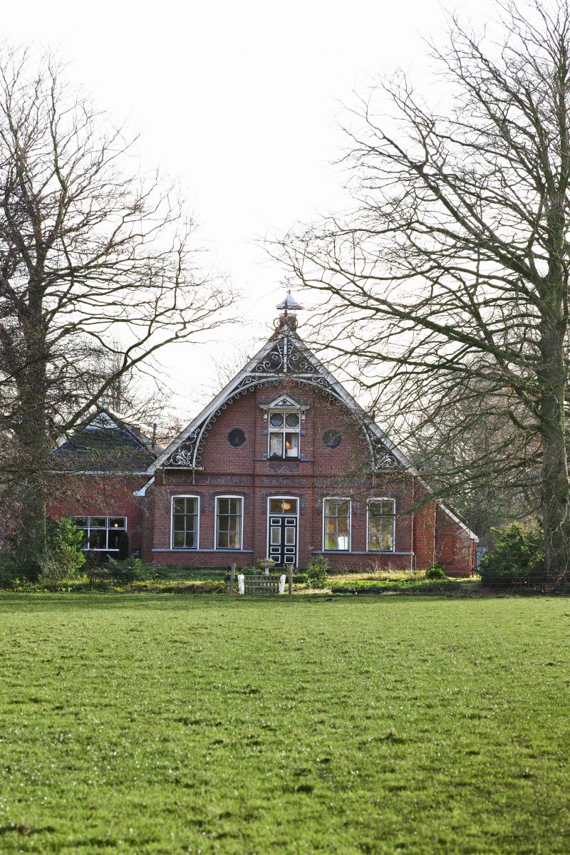communicatietraining met schapen