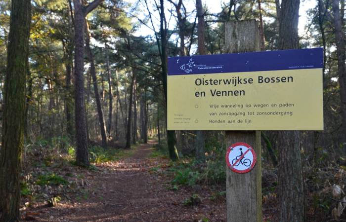 Oisterwijk Bos8