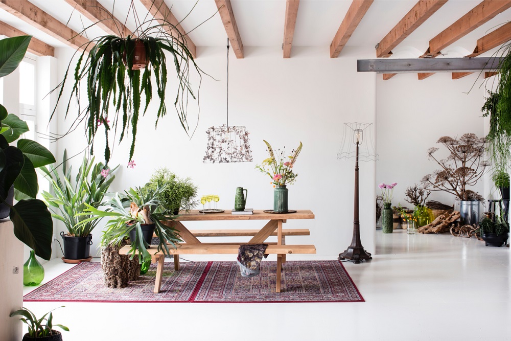 huis vol planten