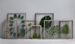 expositielijstjes interieur